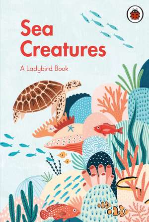 A Ladybird Book: Sea Creatures de Amber Davenport