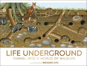 Life Underground: Tunnel into a World of Wildlife de DK