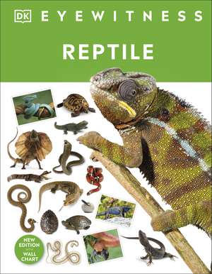 Reptile de Colin McCarthy