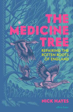The Medicine Tree de Nick Hayes