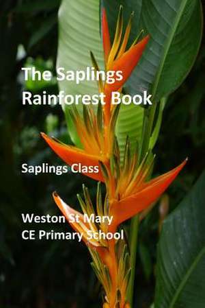 The Saplings Rainforest Book de (Saplings Class), Weston St Mary School