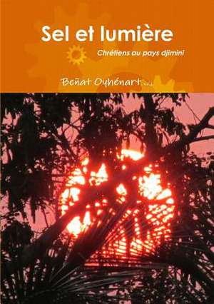 Sel et lumière de Beñat Oyhénart