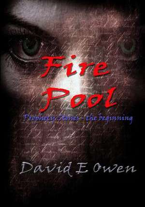 Fire Pool de David Owen