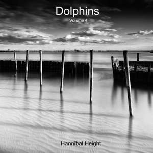 Dolphins - Volume 4 de Hannibal Height