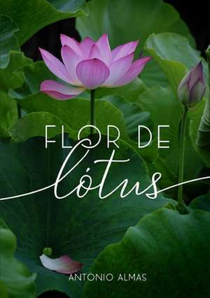 Flor de Lótus de António Almas