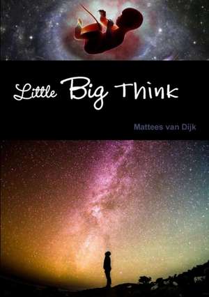 Little Big Think de Mattees van Dijk