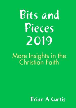 Bits and Pieces 2019 de Brian A Curtis