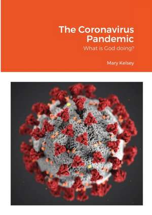 The Coronavirus Pandemic de Mary Kelsey