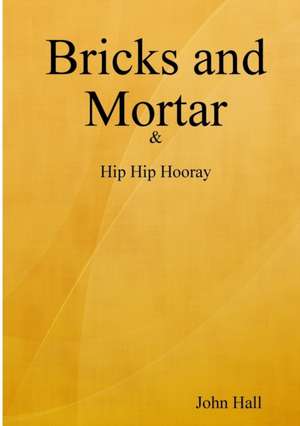 Bricks and Mortar de John Hall