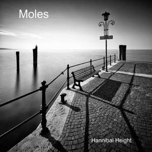 Height, H: Moles