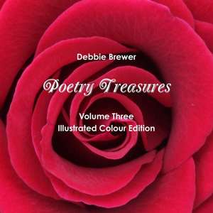 Poetry Treasures - Volume Three de Debbie Brewer