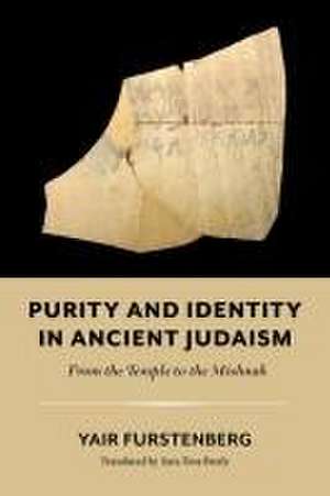 Purity and Identity in Ancient Judaism – From the Temple to the Mishnah de Yair Furstenberg