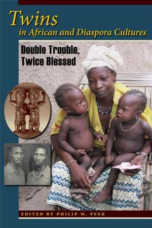 Twins in African and Diaspora Cultures – Double Trouble, Twice Blessed de Philip M. Peek