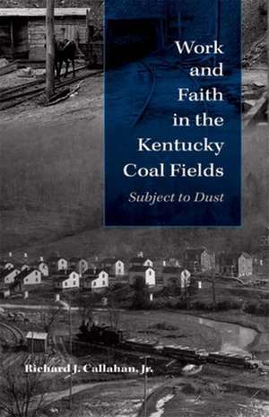 Work and Faith in the Kentucky Coal Fields – Subject to Dust de Richard J. Callahan