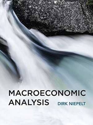 Macroeconomic Analysis de Dirk Niepelt