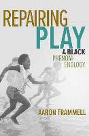 Repairing Play de Aaron Trammell