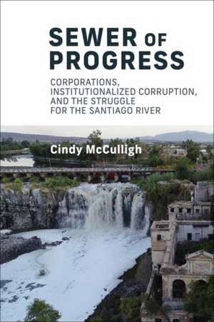 Sewer of Progress de Cindy Mcculligh