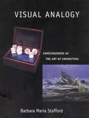 Visual Analogy – Consciousness as the Art of Connecting de Barbara Maria Stafford