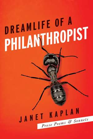 Dreamlife of a Philanthropist de Janet Kaplan