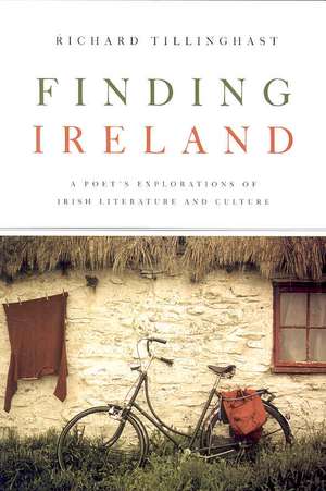 Finding Ireland de Richard Tillinghast