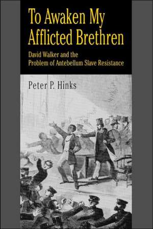 To Awaken My Afflicted Brethren – David Walker and the Problem of Antebellum Slave Resistance de Peter P. Hinks