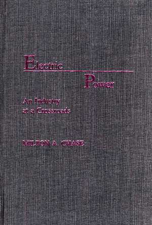 Electric Power: An Industry at a Crossroads de Milton A. Chase