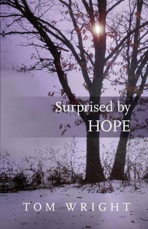 Surprised by Hope – Rethinking heaven, the resurrection and the mission of the Church de Tom Wright