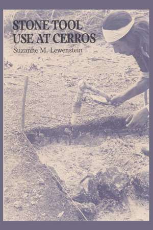 Stone Tool Use at Cerros: The Ethnoarchaeological and Use-Wear Evidence de Suzanne M. Lewenstein