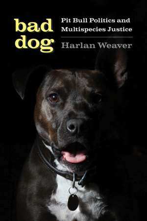 Bad Dog – Pit Bull Politics and Multispecies Justice de Harlan Weaver