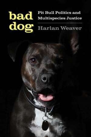 Bad Dog de Harlan Weaver
