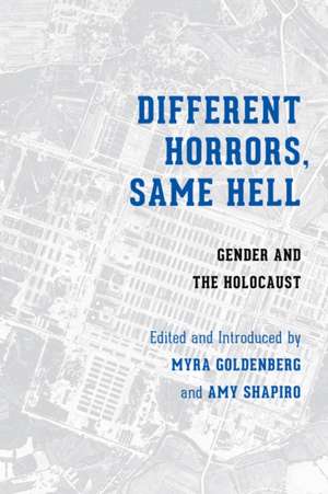 Different Horrors, Same Hell – Gender and the Holocaust de Myrna Goldenberg