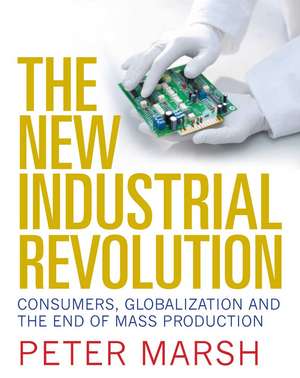 The New Industrial Revolution – Consumers, Globalization and the End of Mass Production de Peter T. Marsh