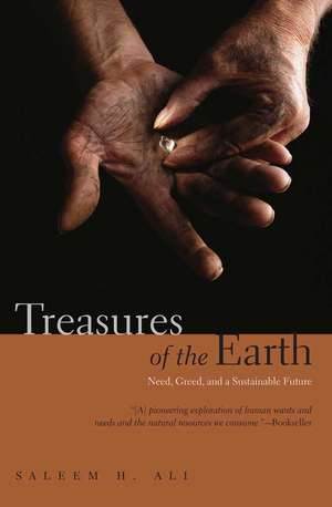 Treasures of the Earth: Need, Greed, and a Sustainable Future de Saleem H. Ali