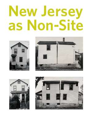 New Jersey as Non-Site de Kelly Baum