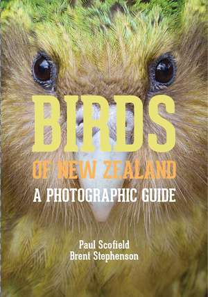 Birds of New Zealand: A Photographic Guide de Paul Scofield