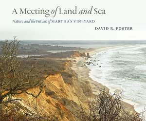 A Meeting of Land and Sea: Nature and the Future of Martha’s Vineyard de David R. Foster