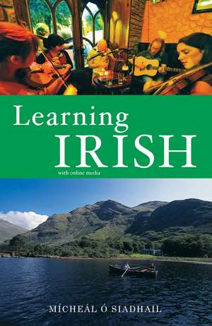 Learning Irish: Text with Online Media de Michael O'Siadhail