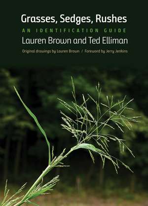 Grasses, Sedges, Rushes: An Identification Guide de Lauren Brown