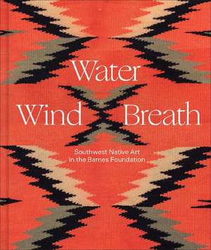 Water, Wind, Breath: Southwest Native Art in the Barnes Foundation de Lucy Fowler Williams