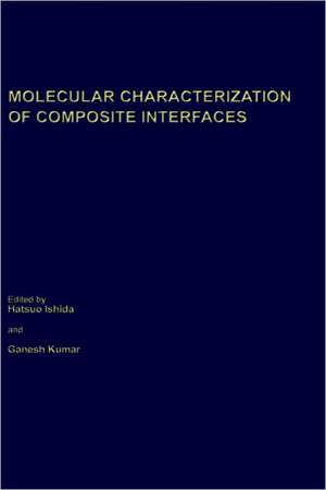 Molecular Characterization of Composite Interfaces de Hatsuo Ishida