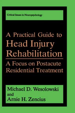 A Practical Guide to Head Injury Rehabilitation: A Focus on Postacute Residential Treatment de Michael D. Wesolowski