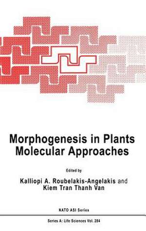 Morphogenesis in Plants: Molecular Approaches de Kalliopi A. Roubelakis-Angelakis