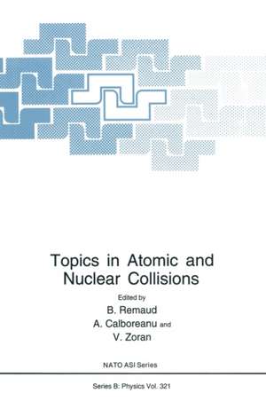 Topics in Atomic and Nuclear Collisions de Bernard Remaud