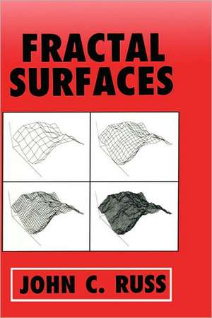 Fractal Surfaces de John C. Russ