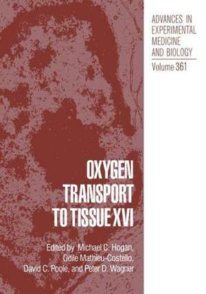 Oxygen Transport to Tissue XVI: Nerve Muscle Function-Bioelectrochemistry, Mechanisms, Bioenergetics and Control de Hogan