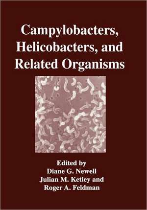 Campylobacters, Helicobacters, and Related Organisms de Diane G. Newell