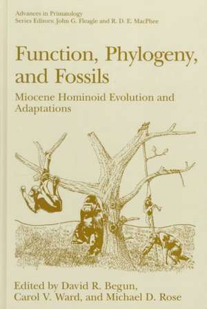 Function, Phylogeny, and Fossils: Miocene Hominoid Evolution and Adaptations de David R. Begun