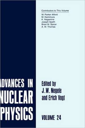 Advances in Nuclear Physics: Volume 24 de J.W. Negele