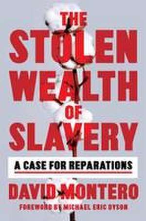 The Stolen Wealth of Slavery de David Montero