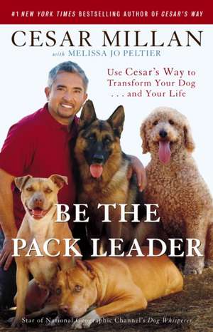 Be the Pack Leader de Cesar Millan